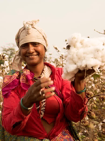 2.B Corp_BALANS-750x1000px2 2.B Corp_BALANS-750x1000px2